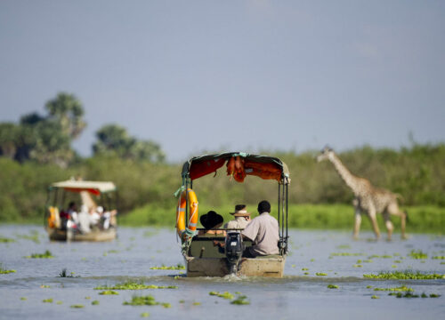 3-Days Zanzibar to Selous Game Reserve Safari: Ultimate Wildlife Adventure