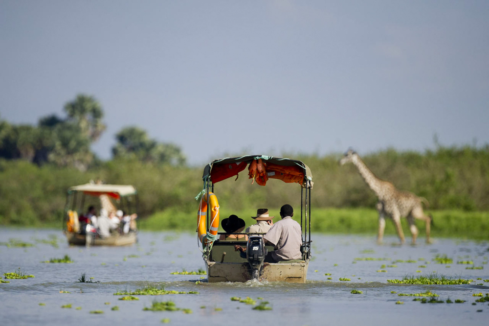 3-Days Zanzibar to Selous Game Reserve Safari: Ultimate Wildlife Adventure