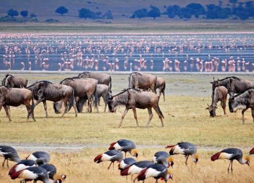 Lake Manyara National Park