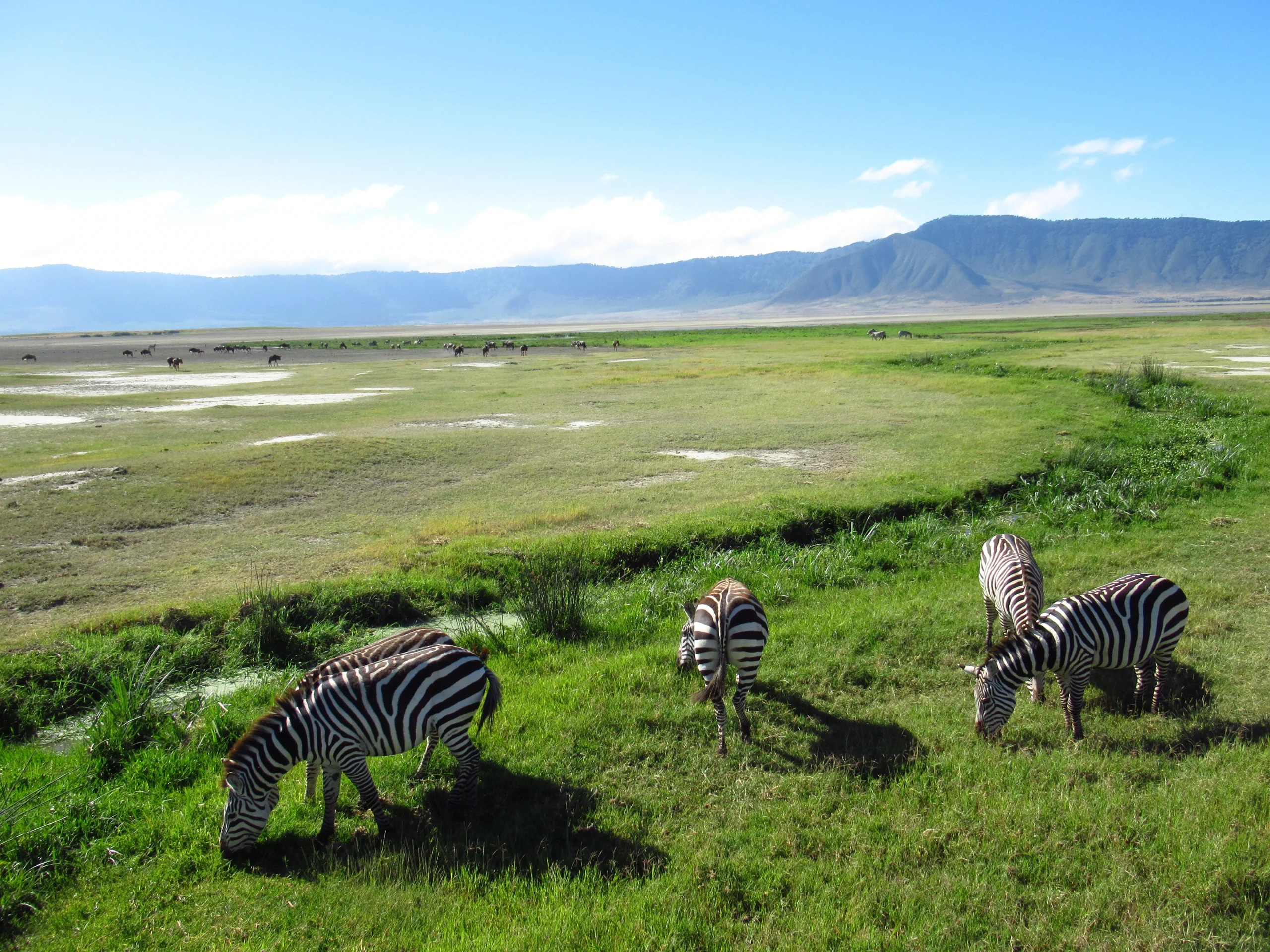 Ngorongoro Crater