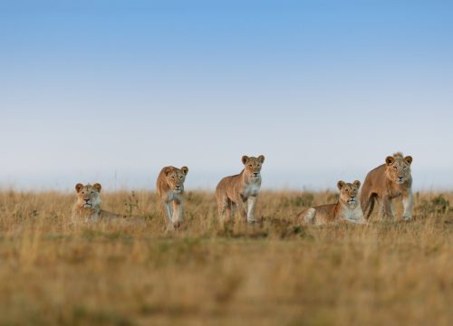 Arusha National Park