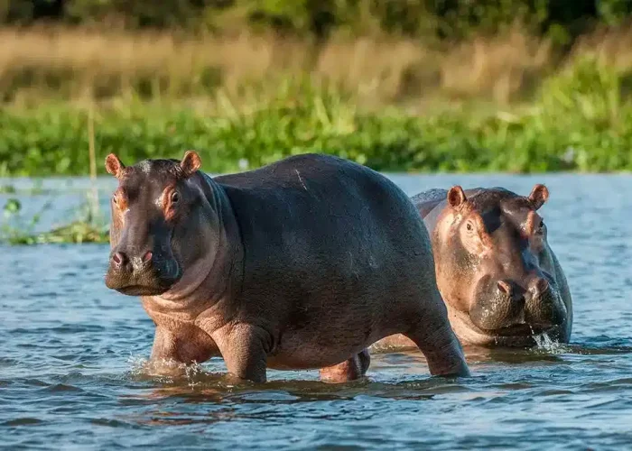 lake manyara master2